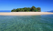 Snorkel from Low Isles beach with Escape Charters